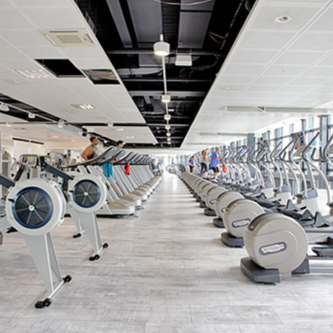 cardio