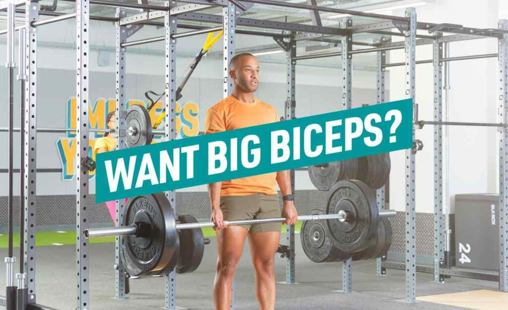 Want big biceps? Train your biceps with these targeted exercises.