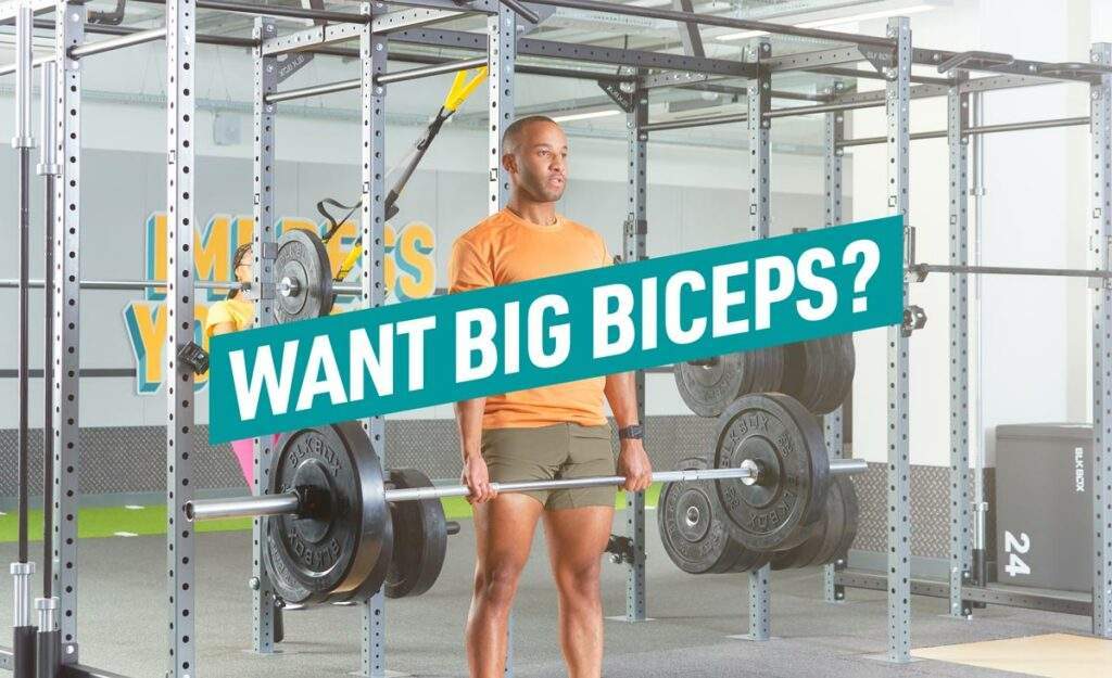 Voulez-vous obtenir de gros biceps ? Entraînez vos biceps avec ces exercices ciblés.