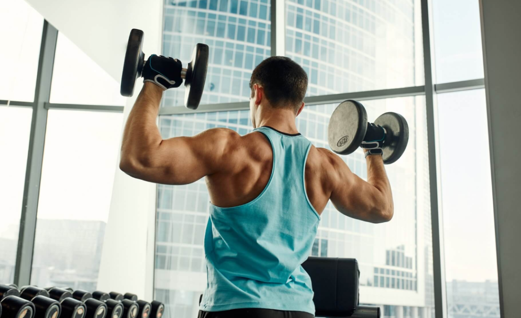 Starte dein Krafttraining! Hier findest du Tipps, Pläne und Strategien für den Muskelaufbau für Anfänger.